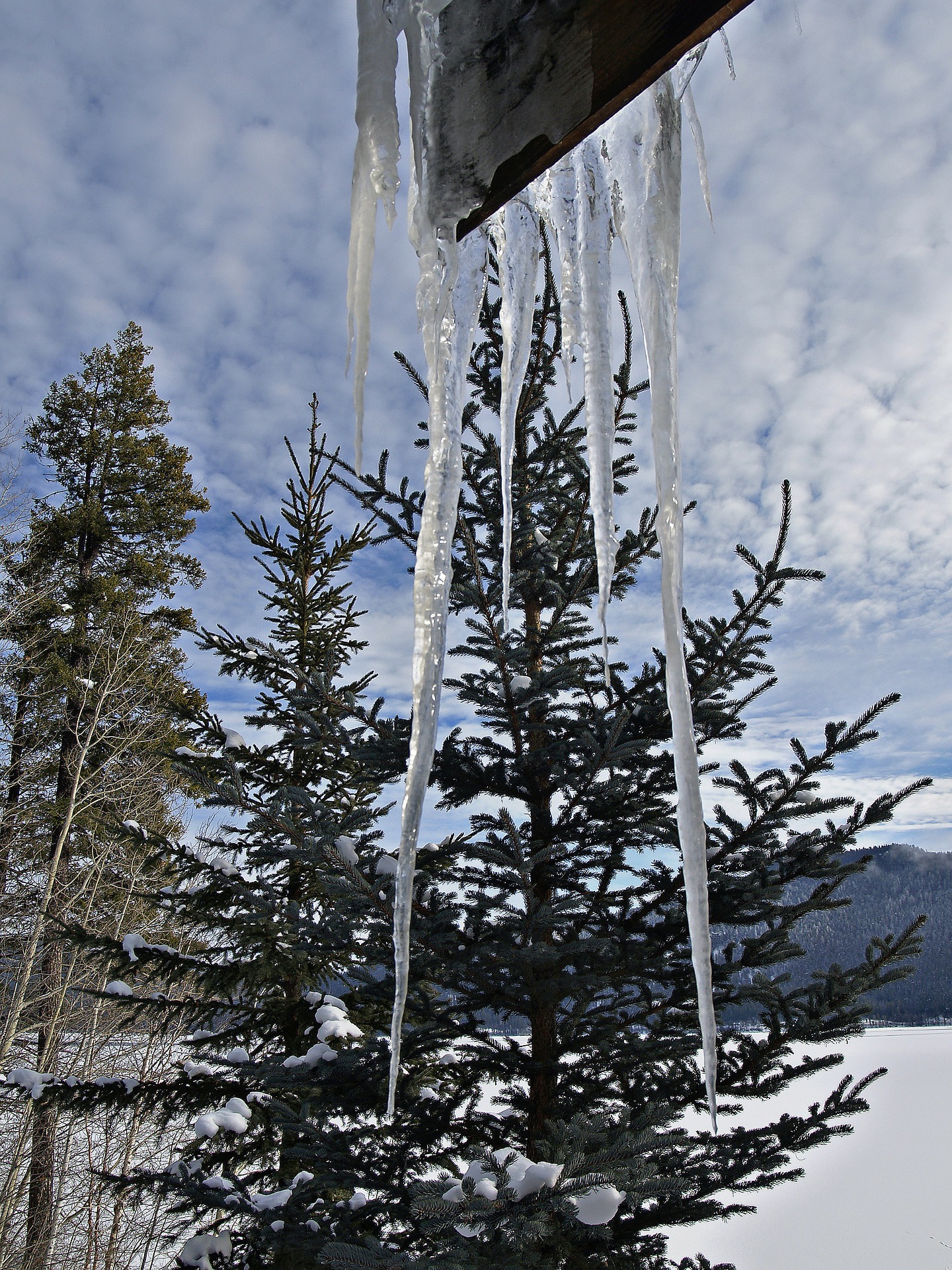 winter
